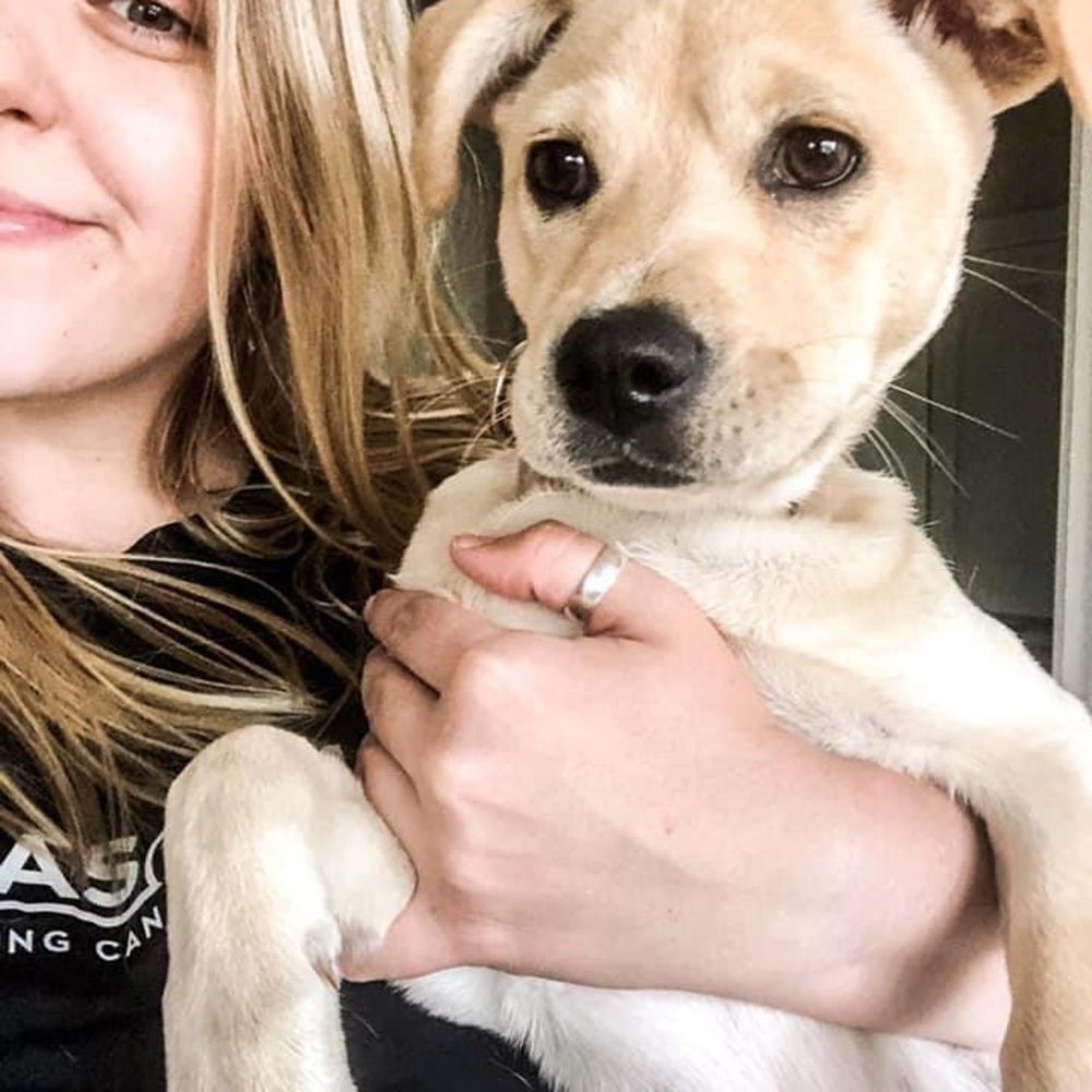 Meet Your Posher, Mackenzie - Picture 6 of 6